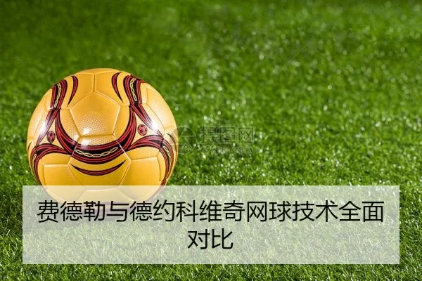 费德勒与德约科维奇网球技术全面对比